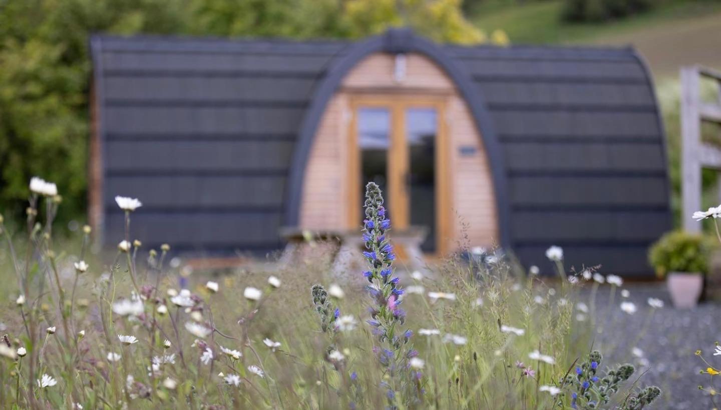 Апартаменти Isla Pod, Kilry Eco Pods Blairgowrie and Rattray Екстер'єр фото